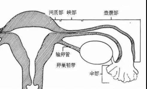 昆明送子鸟医院