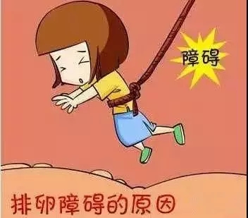 昆明送子鸟医院