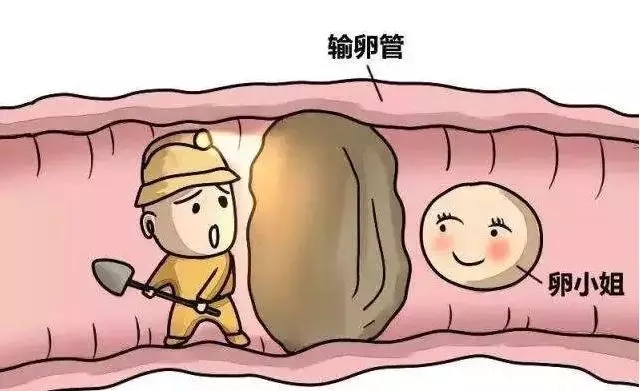 昆明送子鸟医院
