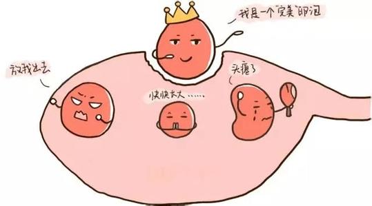 昆明送子鸟医院