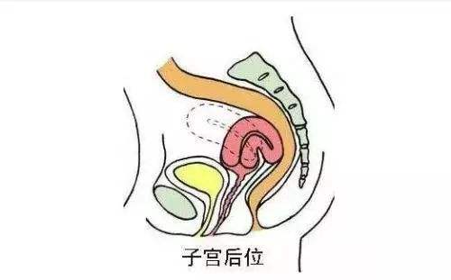 昆明送子鸟医院