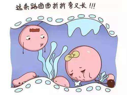 昆明送子鸟医院