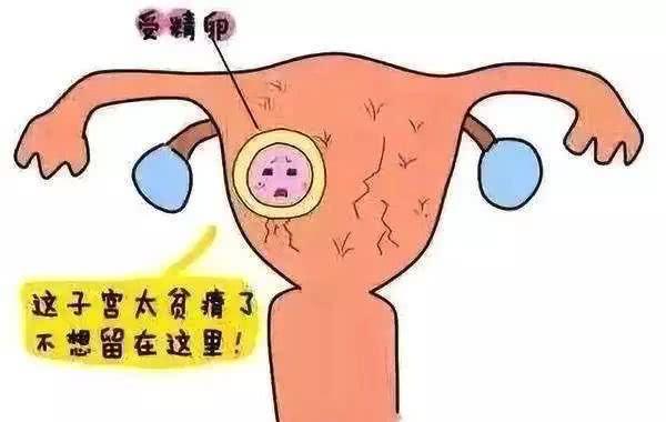 昆明送子鸟医院